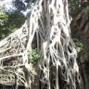 Meet your Posher, Loeung